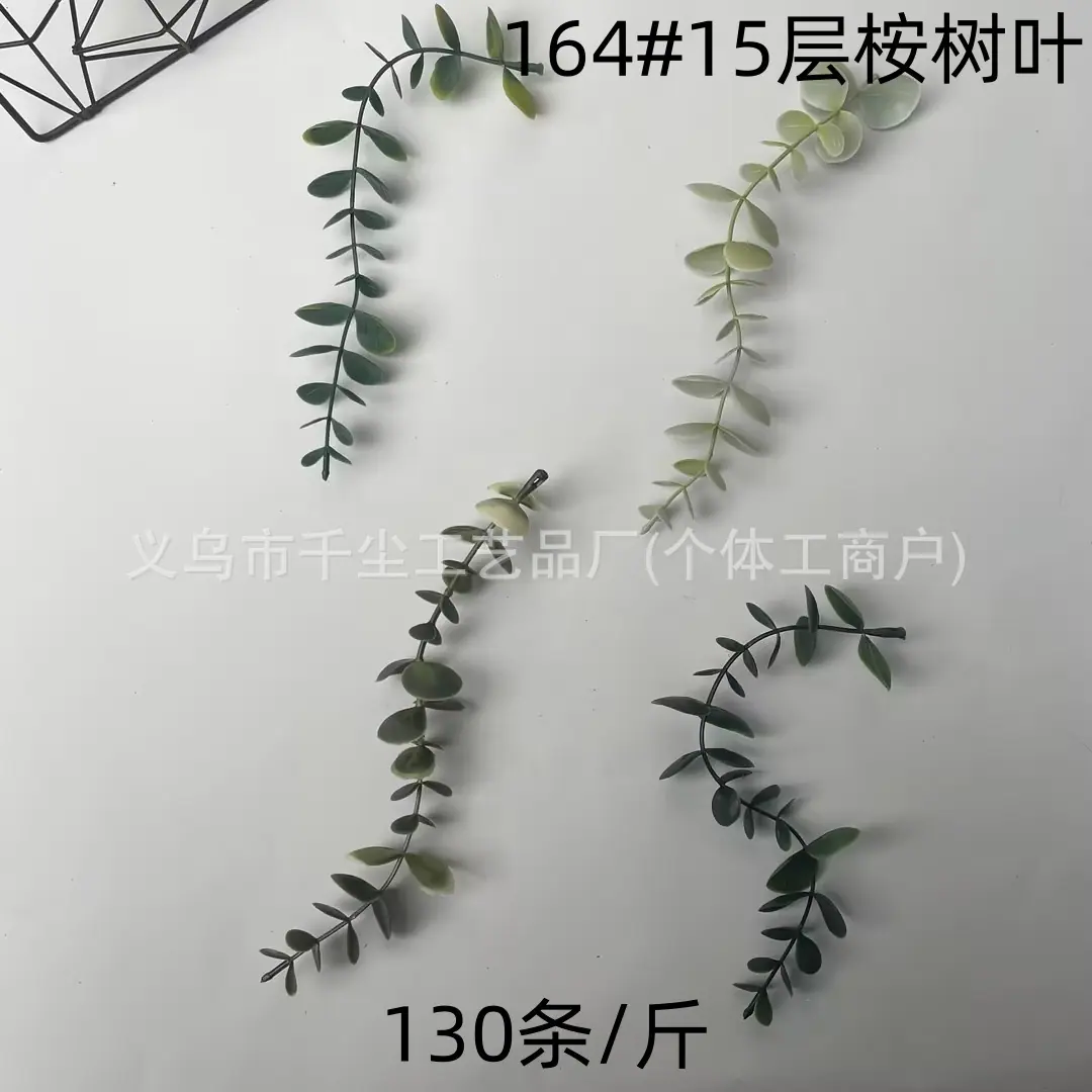 164#15层桉树叶.jpg