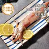 Calamares Pequeños Recién Hervidos, Mariscos Tubo de Pluma Frescos Congelados, Calamares Grandes Enteros, Productos Acuáticos de Calamares Pequeños