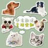 Pegatinas magnéticas suaves de dibujos animados para refrigerador, pegatinas acrílicas magnéticas para refrigerador, venta al por mayor, pegatinas magnéticas creativas y lindas para mascotas, decoración con formas especiales