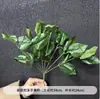 Aspargos verdes, capim barba de dragão, materiais florais com tema de floresta, decorações de teto para salão de casamentos, fundos com flores artificiais e arranjos florais.