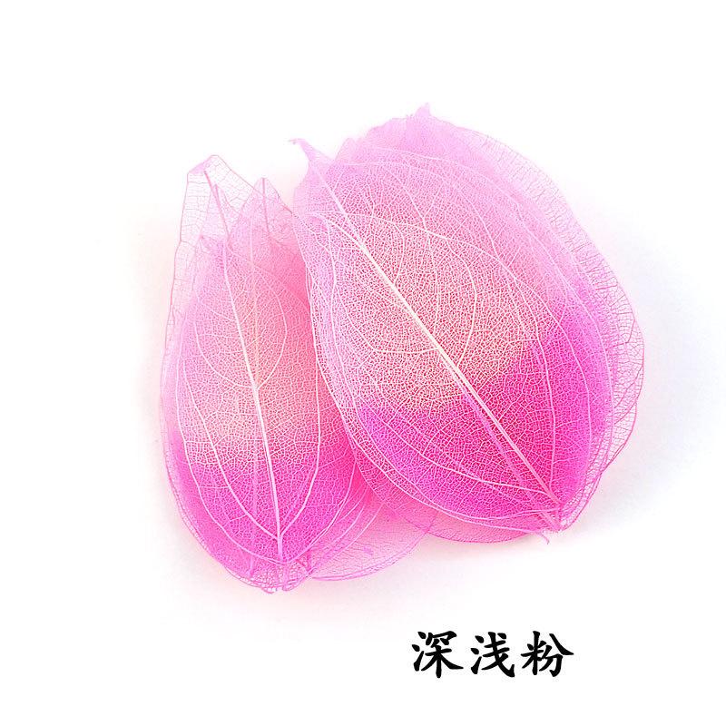 双色金刚叶深浅粉.jpg