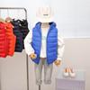 2026 Nuevo Modelo Chaleco de Algodón con Capucha para Niños Pequeños, Medianos y Grandes, Ropa Exterior y Ropa Interior Ligera con Capucha, Chaleco Casual para Bebés