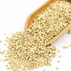 Trigo sarraceno arroz agricultor trigo sarraceno arroz gachas de arroz auténtico grano grande triangular trigo sarraceno arroz cinco granos granos varios grano arroz granos
