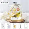 Vaso Flutuante DIY Flores Secas Flor Eterna Kit de Material Espécimes de Plantas Feitos à Mão Atividade Dia dos Professores Oficina