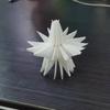Nova estrela de papel estrela de cinco pontas estrela multi-ângulo fsc abajur Lanterna Árvore de Natal feriado led luzes coloridas decoração à prova d'água