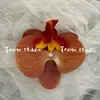 Cabeça de Flor de Orquídea Phalaenopsis Artificial, Textura de Película Impressa em 3D, Buquê Exquisito para Decoração de Casamento e Lembrança