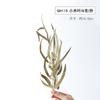 Libro Rojo Pequeño recomendar canela aromaterapia material DIY taza hecha a mano piña piña aceite esencial de limón aromaterapia sin fuego