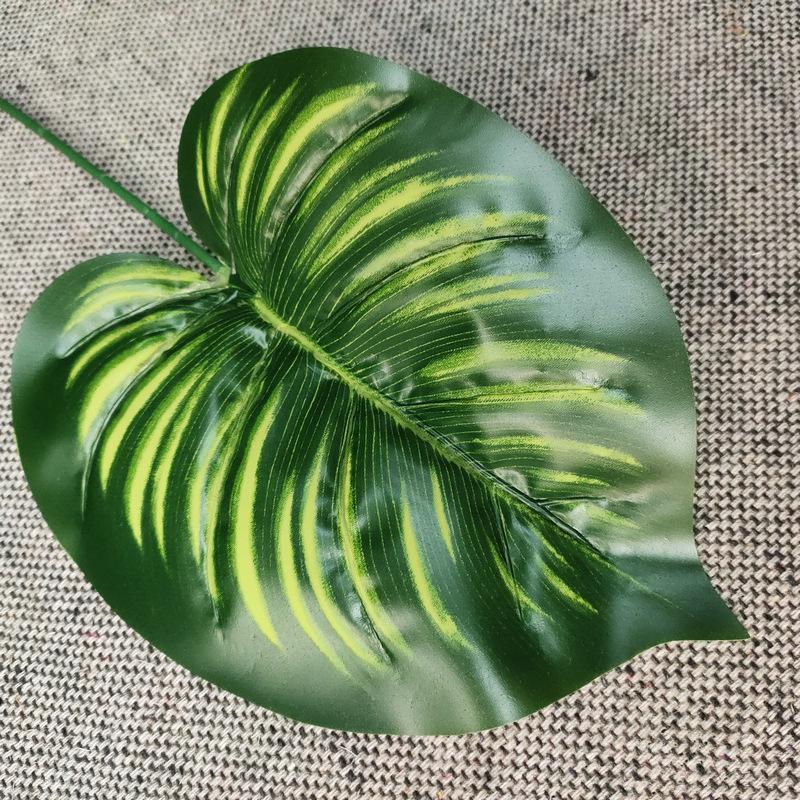 单只连体象耳叶浅绿