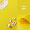 Papel de Fundo Fotográfico Refletivo de Cor Sólida Tradicional Adereços Fotográficos para Joias Cartão de Papel para Fotografia de Produtos Coloridos Fruta Vermelha Pequena