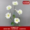 Decoração de Casamento com Flores Brancas, Peônias, Phalaenopsis, Rosas, Arranjos Florais de Teto e Arranjos Florais Pretos para o Salão de Casamento