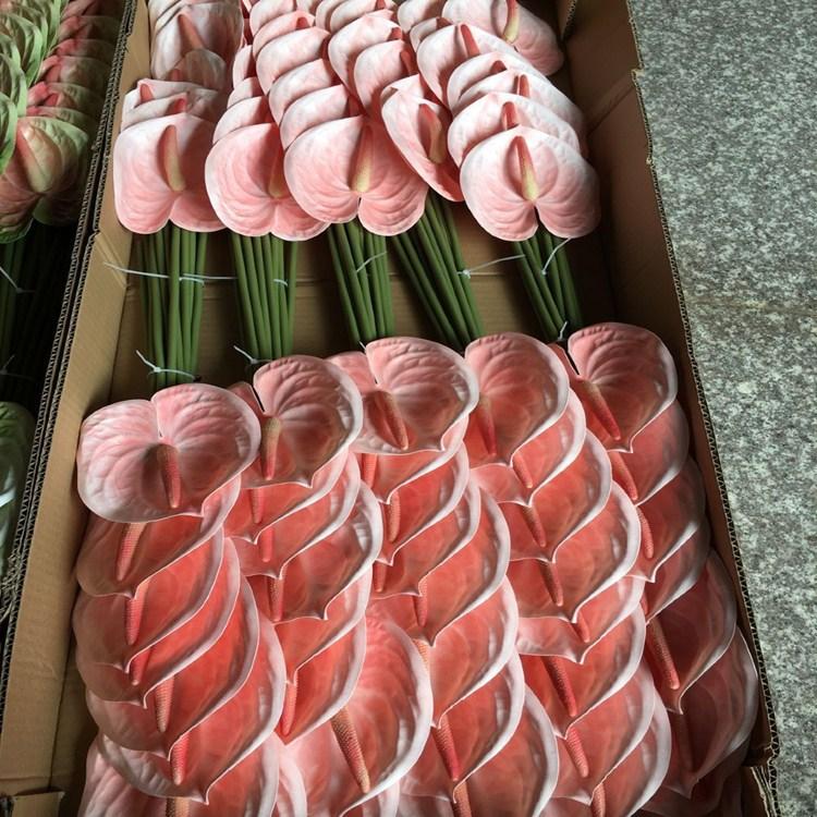 QQ图片20200809102505