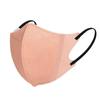 Color Morandi 3D tridimensional máscara femenina de alta apariencia otoño e invierno para la cara pequeña desechable para adulto 2024 nuevo estilo de celebridad de internet