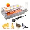 20 Incubadoras Totalmente Automáticas para Pollitos, Patos y Gansos, Incubadoras Pequeñas para el Hogar, Incubadoras de Huevos de Paloma y Loro