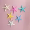 Nova Joia de Estrela do Mar DIY Acessórios de Cabelo de Resina Presilhas de Cabelo Capa de Celular Acessórios para Sapatos e Chapéus Decoração Acessórios Atacado