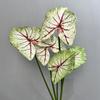 Impresión 3D de hojas de taro a color, simulación de plantas verdes, paisaje, decoración del hogar, hojas de taro, hojas de begonia, hojas de taro a color, accesorios de fotografía