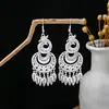 [Selección Premium] Pendientes Estilo Étnico de Minorías Vintage con Plata de Minorías Étnicas, Pendientes Largos Colgantes Florales Estilo Bohemio Único