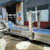 Máquina de limpeza de picles de medicamentos vegetais para resíduos de pesticidas, máquina de limpeza por bolhas de vegetais, máquina de limpeza por bolhas de cerejas e mirtilos