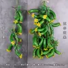 Modelo de pepino de simulación Rodajas de pepino gordo Fruta de pepino verde Gabinete de frutas y verduras Decoración para transmisión en vivo de cocina Accesorios Juguetes para casa de juegos