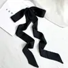 Lenço de Seda Longo e Estreito, Lenço de Pescoço Versátil, Elástico Decorativo para Cabelo, Fita para Amarrar Bolsas, Lenço de Seda Longo e Fino de Cor Sólida para o Verão