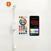 Controlador Inteligente Wifi Tuya Luz de Ambiente de Color Completo Luz de Alero Controlador de Luz Corriente de Agua Voz 12V