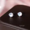 Pendientes de Botón Imitación Piedra de Luna Frescos y Elegantes para Mujer Plata Pura S999 Temperamento Super Hada Versátiles Pendientes de Gama Alta Venta al por Mayor
