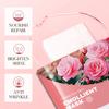 Mascarilla Facial Vegana Fayankou 25g Mascarilla Facial Mascarilla Hidratante Comercio Exterior Transfronterizo Venta al por Mayor