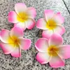 Grampo de Cabelo Flor de Plumeria Cor Simulação Viagem Praia Férias Clipe Lateral Flor Decoração Restaurante Chá com Leite Plumeria