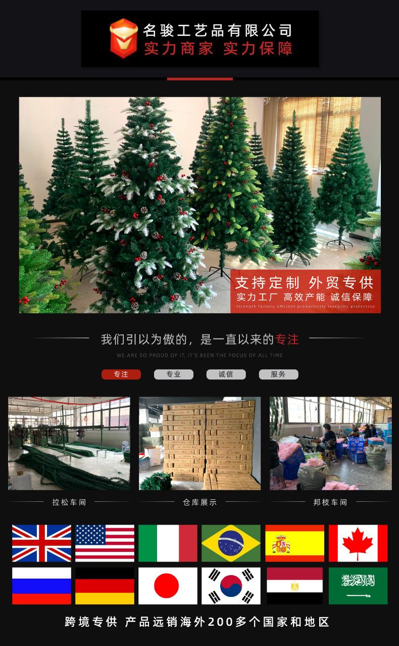 圣诞树详情页头.jpg