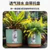 Macetas de Flores de Plástico Personalizadas Anthony para Balcón de Casa, Plantación de Suculentas, Jardín de Patio, Macetas Simples de Color Crema para Plántulas
