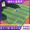 Césped Artificial Personalizado por el Fabricante Logotipo Campo de Fútbol Diseño de Logotipo Área de Actividad Colorida Césped Artificial Personalizado