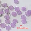 Gran Venta Transparente Mini Flor de Resina Trébol de Cuatro Hojas Parche DIY Aretes Uñas Arte Funda de Teléfono Celular Material de Decoración