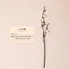 Nova Flor Artificial de Seda de Flor de Ameixa Chinesa para Sala de Estar Mesa de Centro Mesa de Jantar Decoração de Galho Único Ornamento Floral para Casa