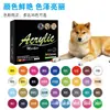 Marcador de Uñas Artísticas de Punta Suave para TikTok Transfronterizo para Pintar, Dibujar Bocetos, Dibujo a Mano Alzada, Contornear, Pluma de Arte para Uñas de Mascotas DIY, Pintura para Mascotas
