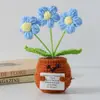 Flor de Tricô de Energia Positiva Transfronteiriça Planta em Vaso Produto Acabado Fio de Lã Flor de Simulação Ornamento de Mesa Boneca de Cartão de Mão