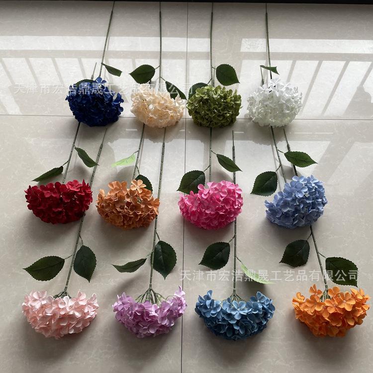 微信图片_202212121402001_副本