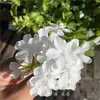Floco de Neve Branco em Vaso Floco de Neve Azul Floco de Neve Vermelho Pátio Varanda Perenes Florais Resistente ao Calor e Longo Período de Floração para Manter