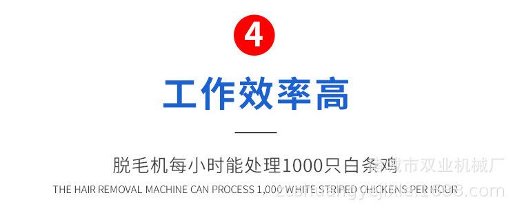 ee0c2fe81363756bb215a205ae9098