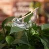 Venta al por mayor Personalizado Automático Filtración de Agua Transparente Perezoso Vidrio Animal Flor Riego Manualidades DIY Riego de Flores Perezoso
