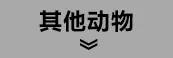 其他款式