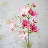 Rama Única Cosmos Gesang Flor Flor Falsa Flor Artificial Decoración del Hogar Flor Set de Boda Hecho a Mano DIY