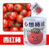 Pote de Bênçãos Criativo para Celebrante de Internet Latas Mini Planta Verde para Interior Mesa Flores Planta Enlatada Infantil