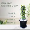 Varanda Legumes Flores Plantas Verdes Vasos Família Vertical Hidropônica Torre Inteligente Máquina de Plantio de Vegetais Equipamento de Cultivo Sem Solo