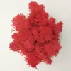 Musgo Flores Preservadas Dia das Mães Musgo Rena Musgo Cabelo Branco Musgo Cinza Atacado Embalado Diretamente do Fabricante Decoração