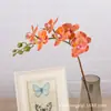 Impresión de simulación mini Phalaenopsis 3D cinta mini Phalaenopsis pequeña fabricantes al por mayor fotografía hogar atuendo suave