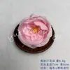 Cabezas de flores artificiales rosa Austin para decoración de escenas de bodas, materiales DIY, flores falsas para arreglos decorativos, venta al por mayor