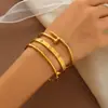 Elegante, Luxuoso, Moderno, Versátil, Simples e Fashion Pulseira de Bambu Coração de Pêssego com Zircônia para Meninas, Pulseira de Aço Titânio de Alta Qualidade