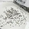 Pedras de strass para nail art em zircônia em formato de losango, populares online, super brilhantes, pedras de strass pequenas com base plana de floco de neve de Natal para unhas