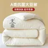 Colcha de Fibra de Soja sin Teñir de Invierno Colcha de Invierno Colcha Engrosada Núcleo de Colcha Ropa de Cama para Primavera y Otoño Dormitorio Estudiantil Individual y Doble Colcha de Algodón
