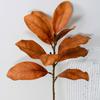 Arreglo floral de simulación de hoja de magnolia, película para hojas, accesorios de hoja de cartón para bodas transfronterizas, pegamento para tela Binghua, Binghua