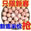 10 huevos de granja auténticos recién recogidos, huevos de corral rurales, huevos de gallina, huevos de recién puesta, al por mayor, caja completa de 4 huevos